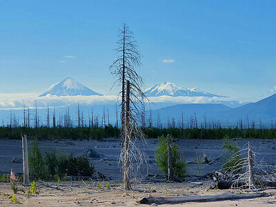 In 1964, Shiveluch ejected a pyroclastic flow that destroyed trees within a 20 km radius. Klyuchevskaya Sopka and Kamen volcanoes are visible in the background.